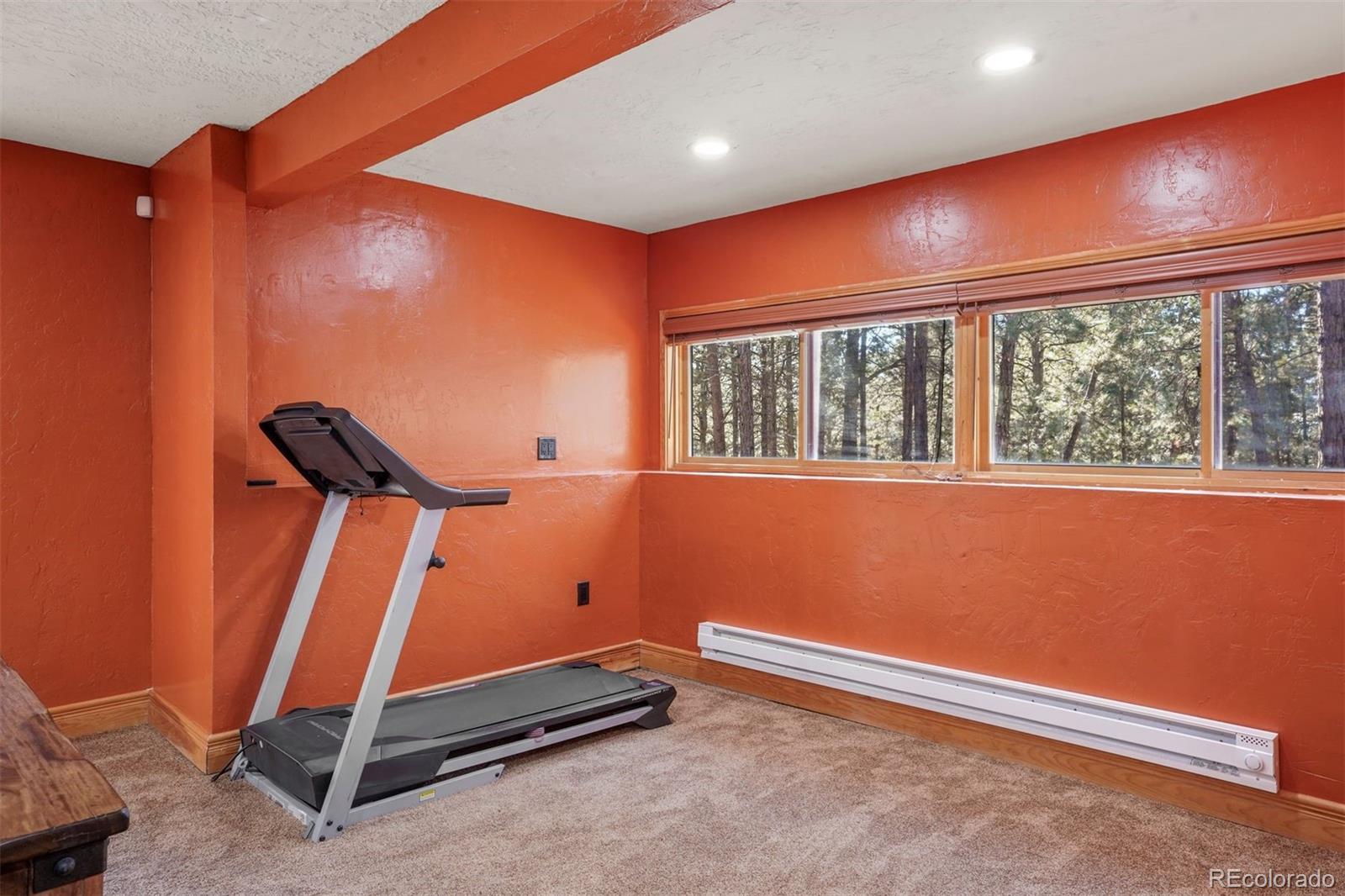 MLS Image #36 for 17660  table rock road,colorado springs, Colorado