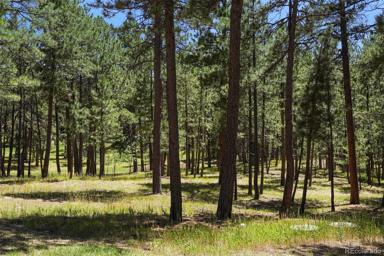 MLS Image #48 for 17660  table rock road,colorado springs, Colorado