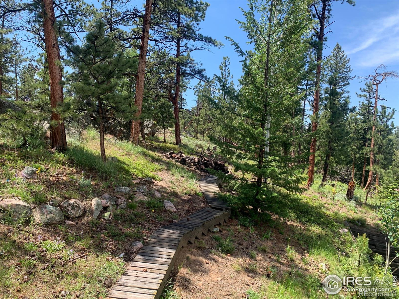 MLS Image #12 for 231  snake lake drive,red feather lakes, Colorado