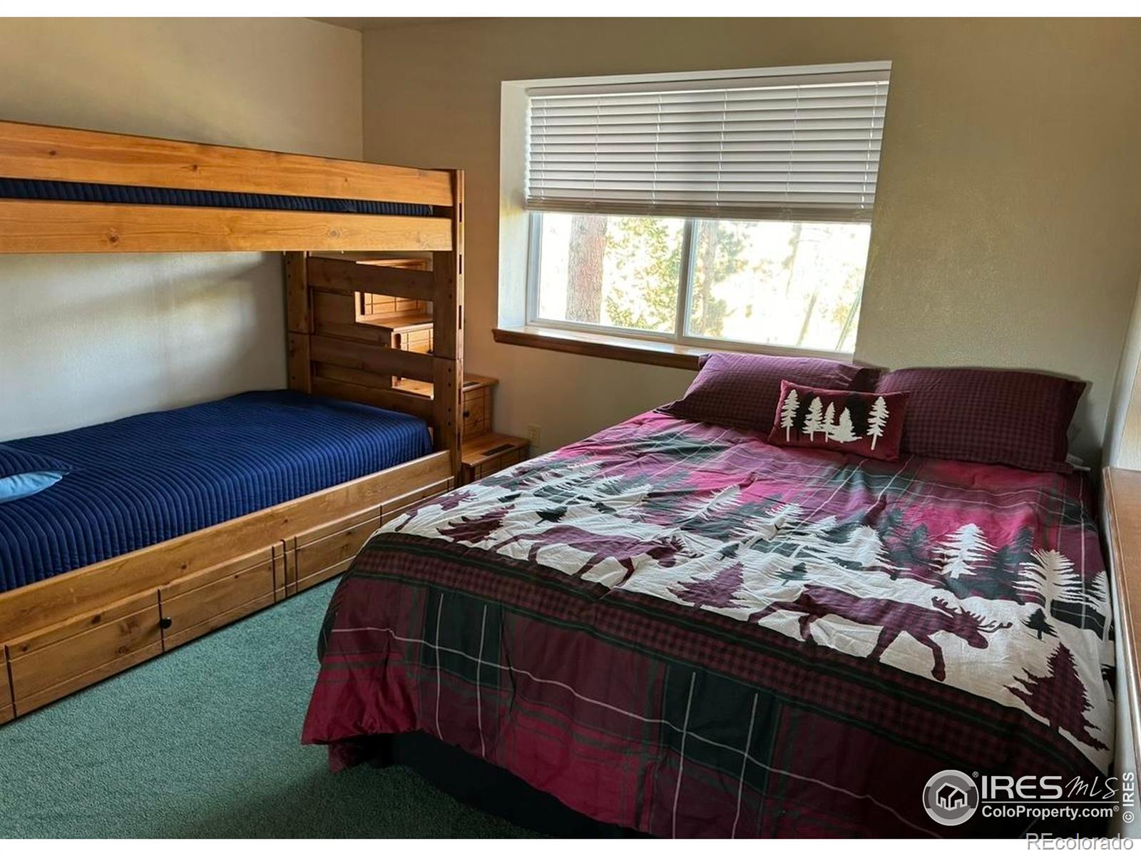 MLS Image #18 for 231  snake lake drive,red feather lakes, Colorado