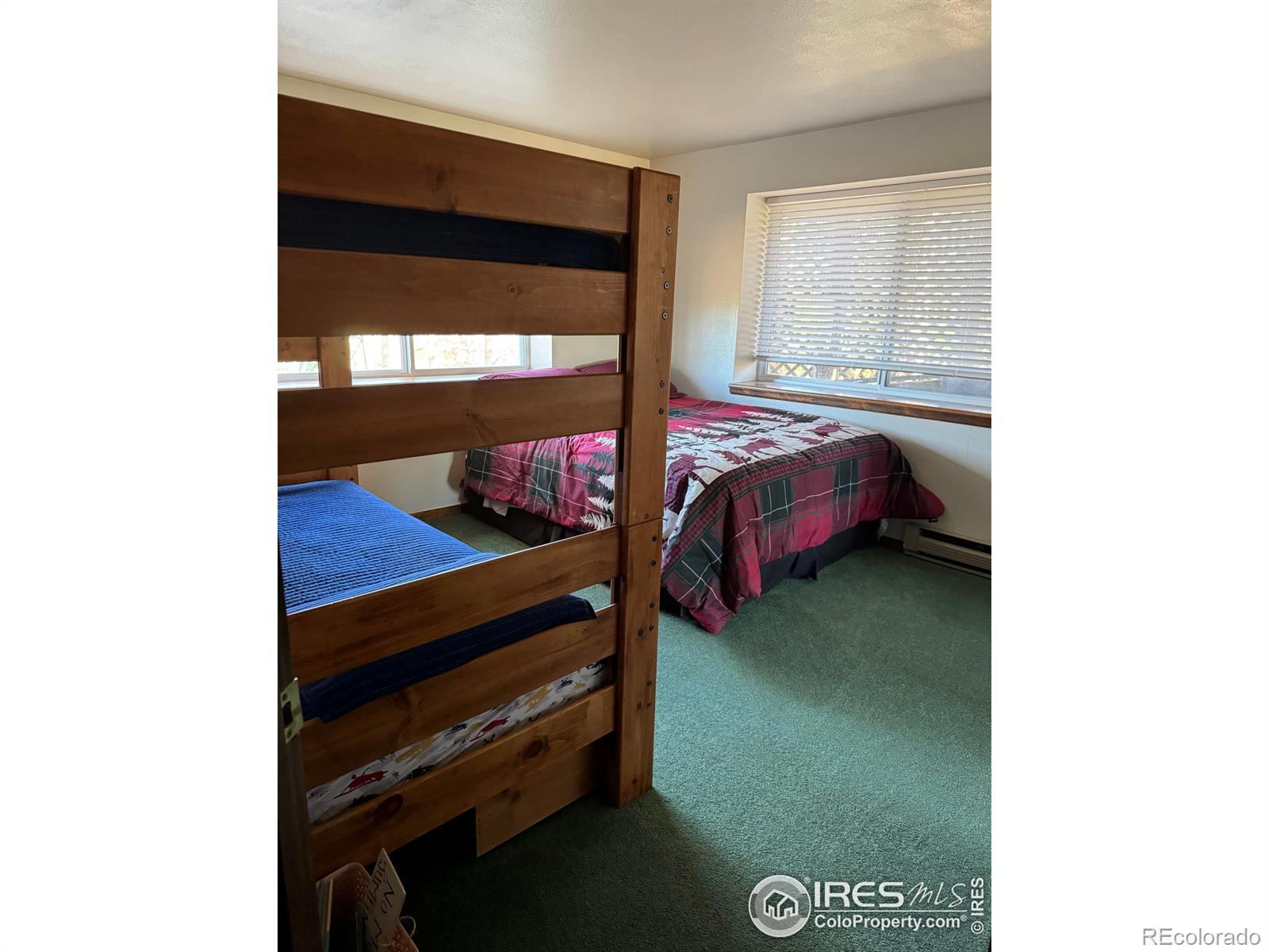 MLS Image #19 for 231  snake lake drive,red feather lakes, Colorado