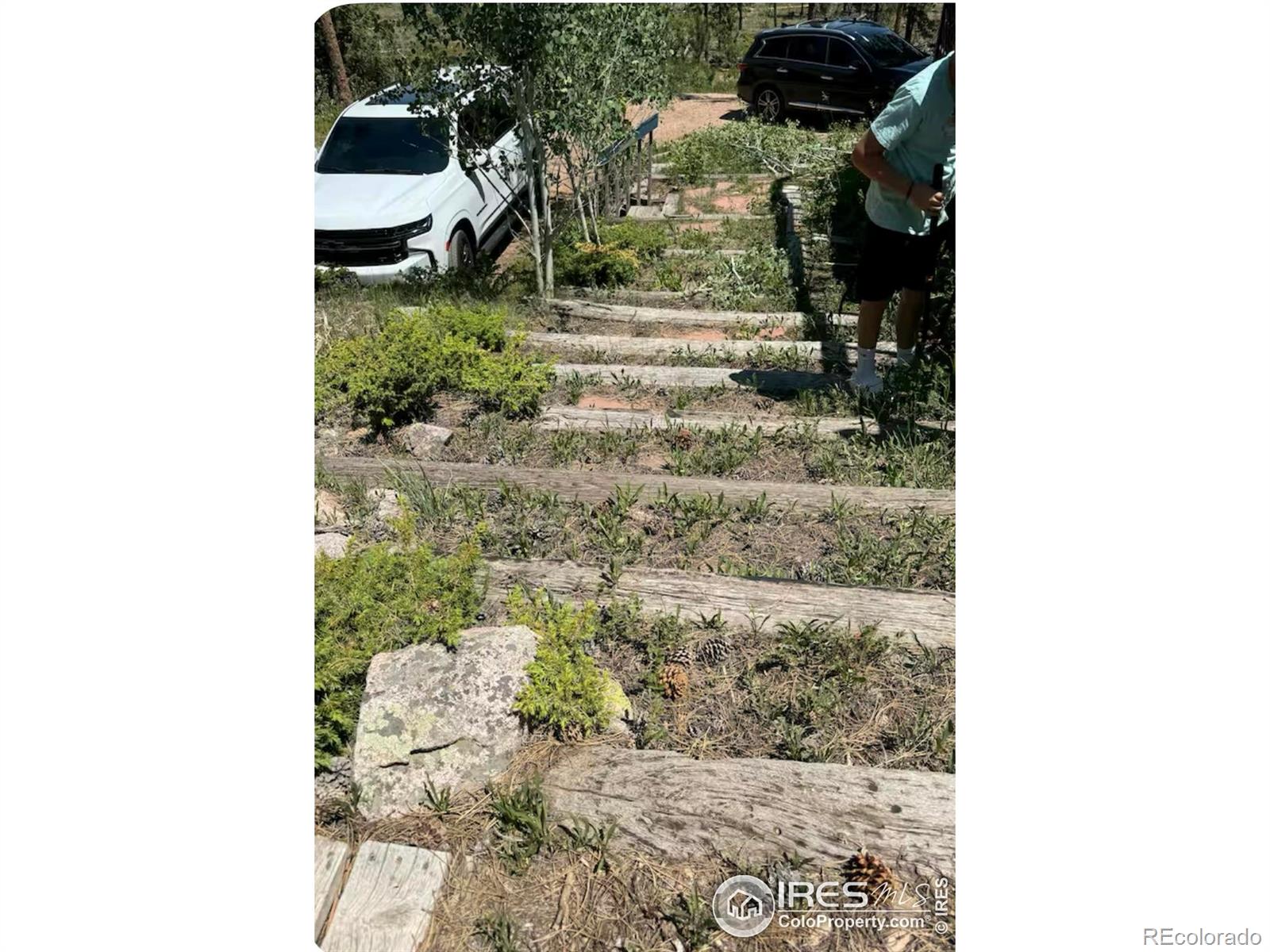 MLS Image #26 for 231  snake lake drive,red feather lakes, Colorado