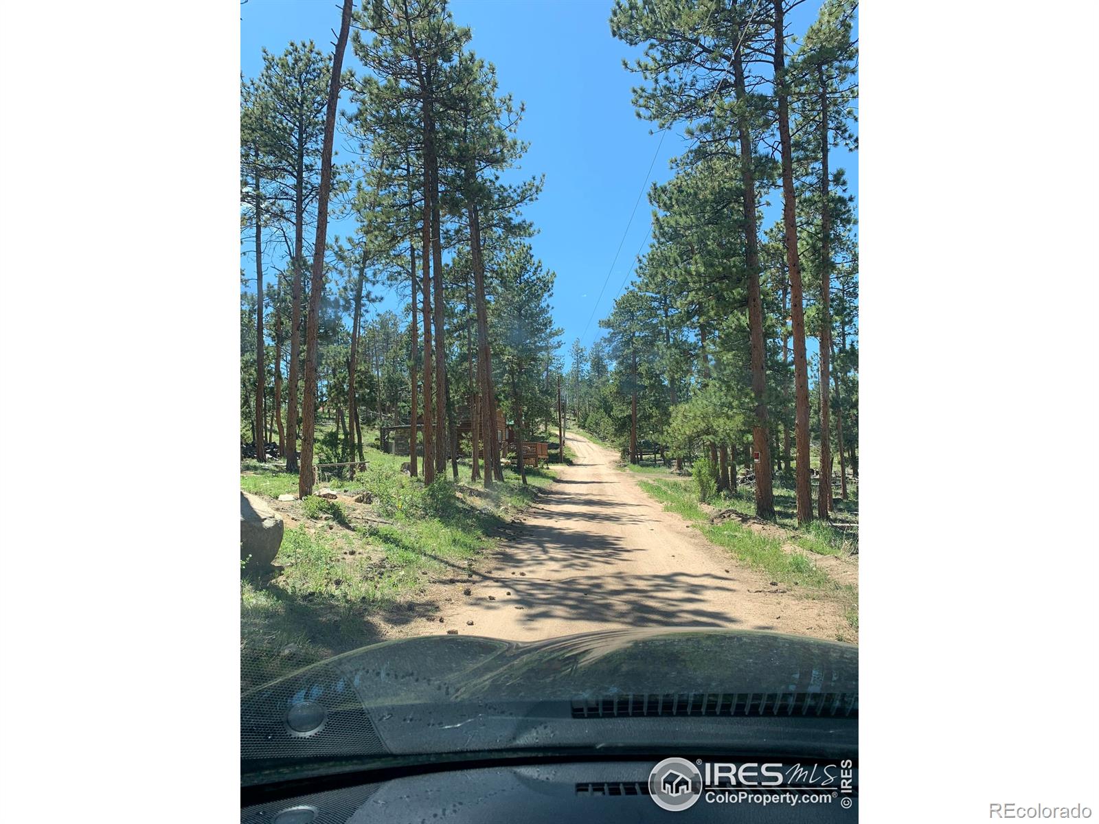 MLS Image #3 for 231  snake lake drive,red feather lakes, Colorado