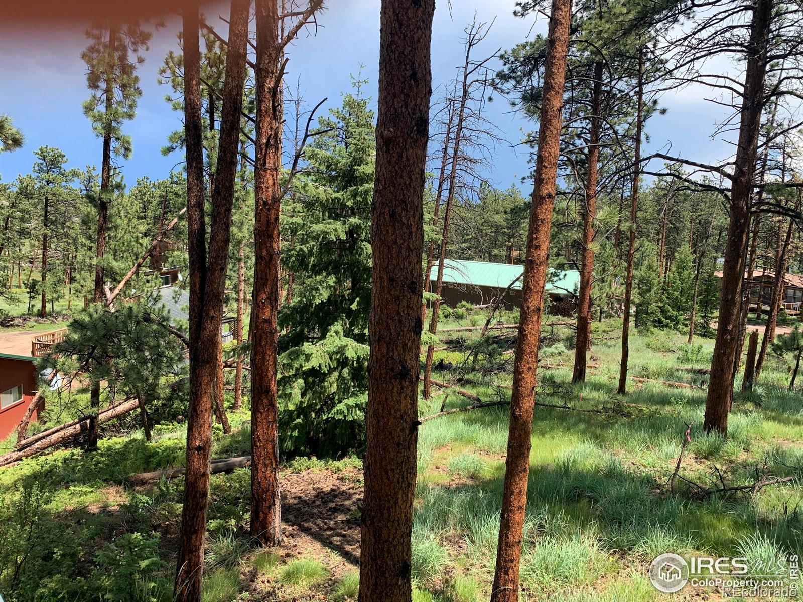 MLS Image #5 for 231  snake lake drive,red feather lakes, Colorado