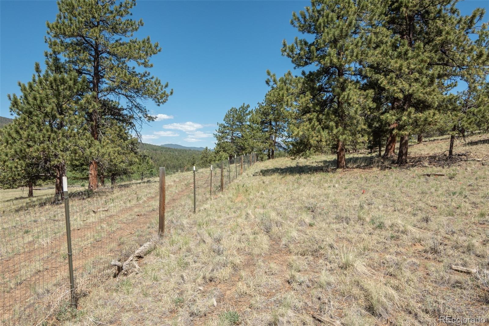 MLS Image #10 for 3126  singletree road,hartsel, Colorado