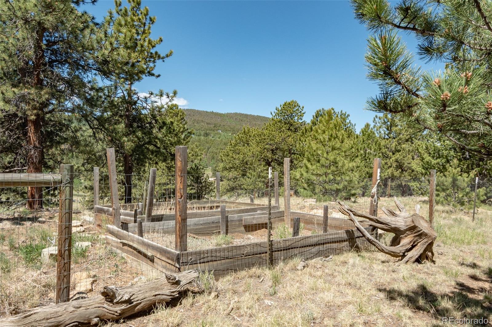 MLS Image #11 for 3126  singletree road,hartsel, Colorado