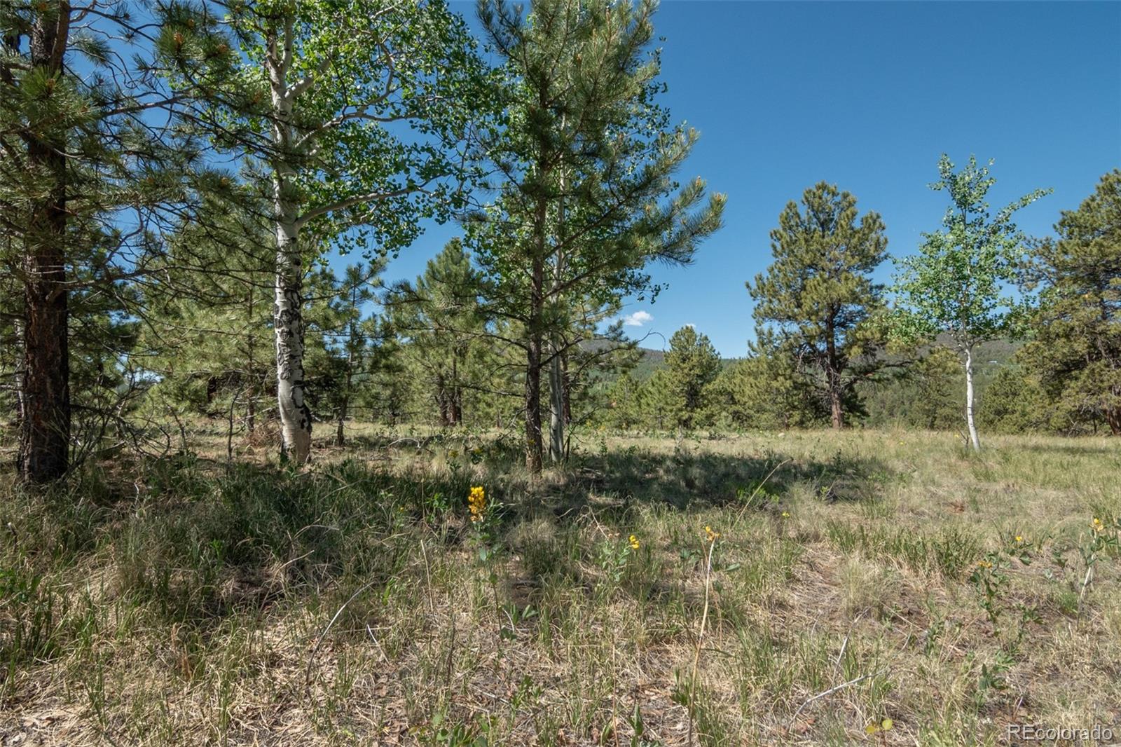 MLS Image #12 for 3126  singletree road,hartsel, Colorado
