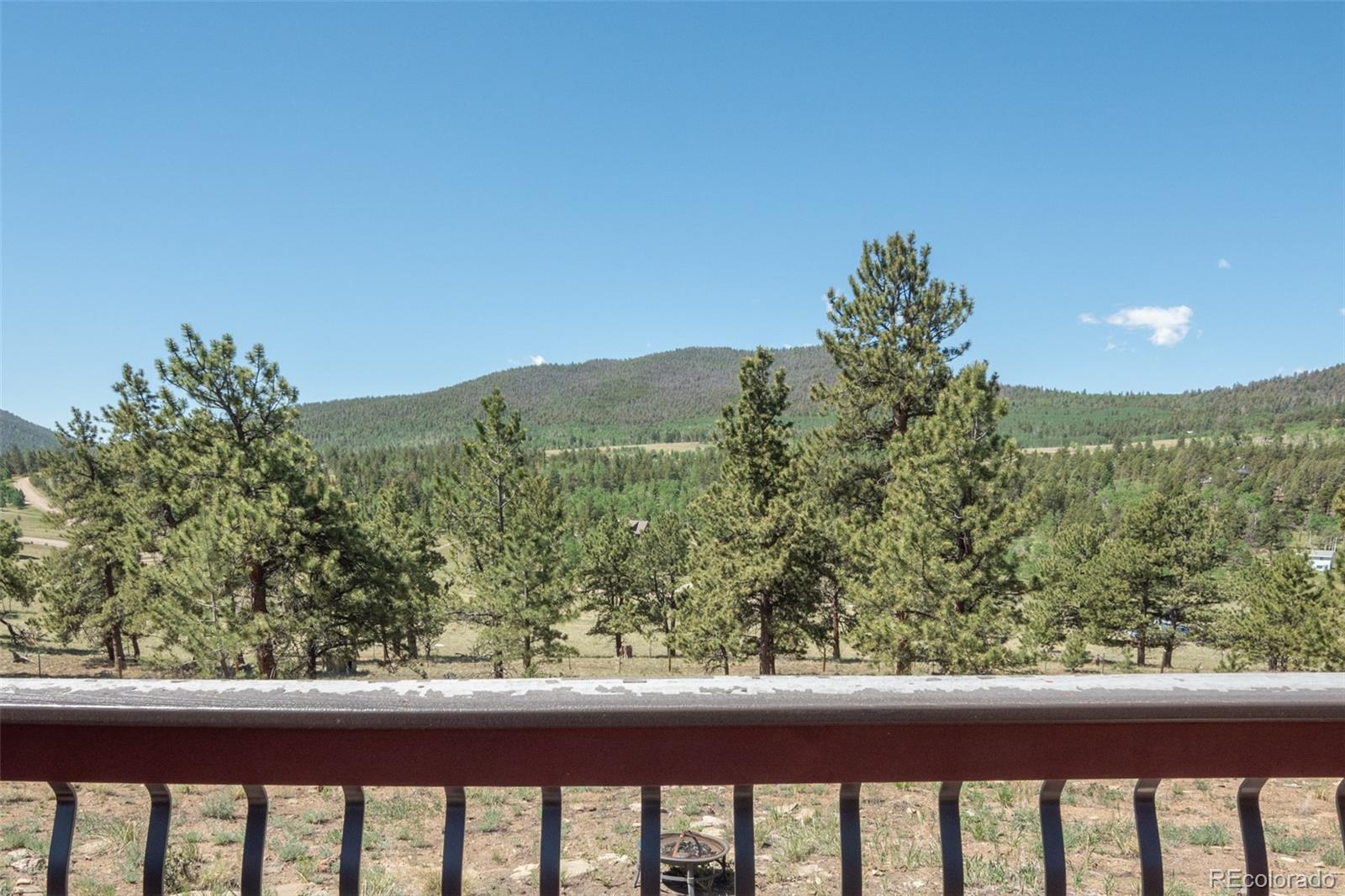MLS Image #13 for 3126  singletree road,hartsel, Colorado
