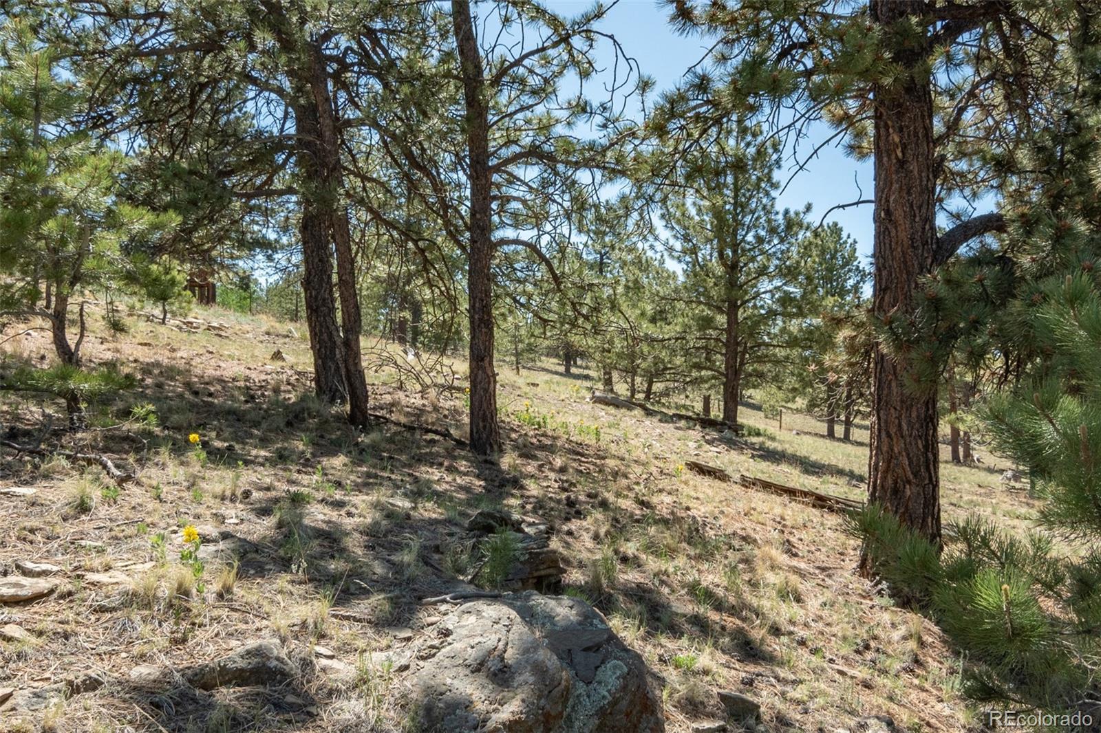 MLS Image #14 for 3126  singletree road,hartsel, Colorado