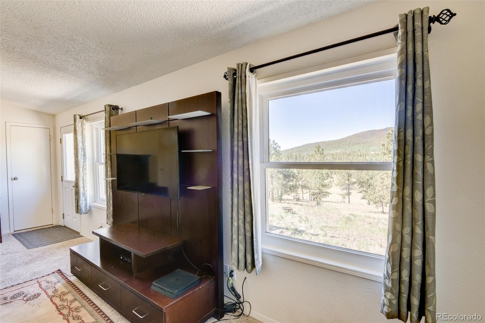 MLS Image #19 for 3126  singletree road,hartsel, Colorado