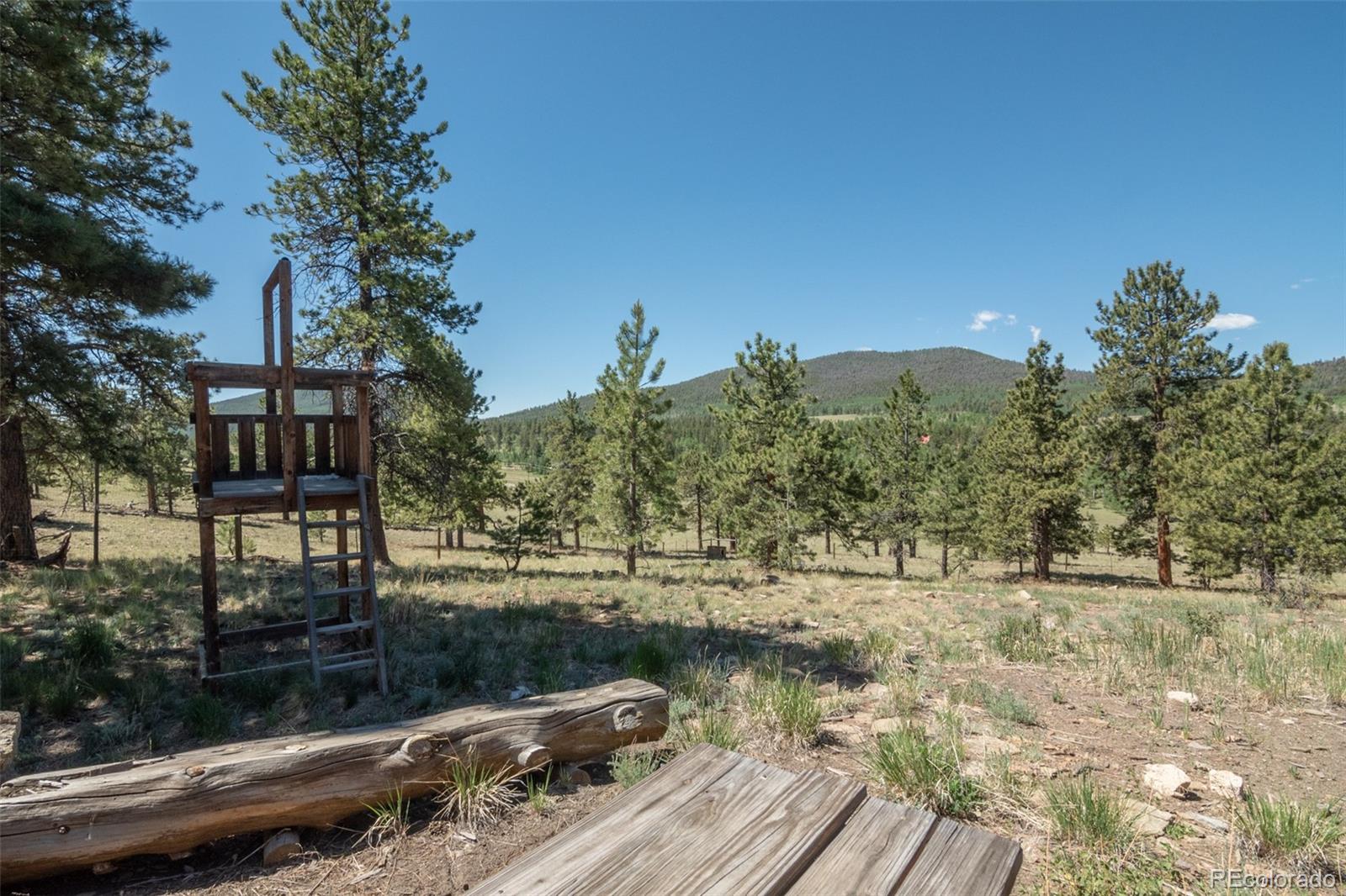 MLS Image #45 for 3126  singletree road,hartsel, Colorado