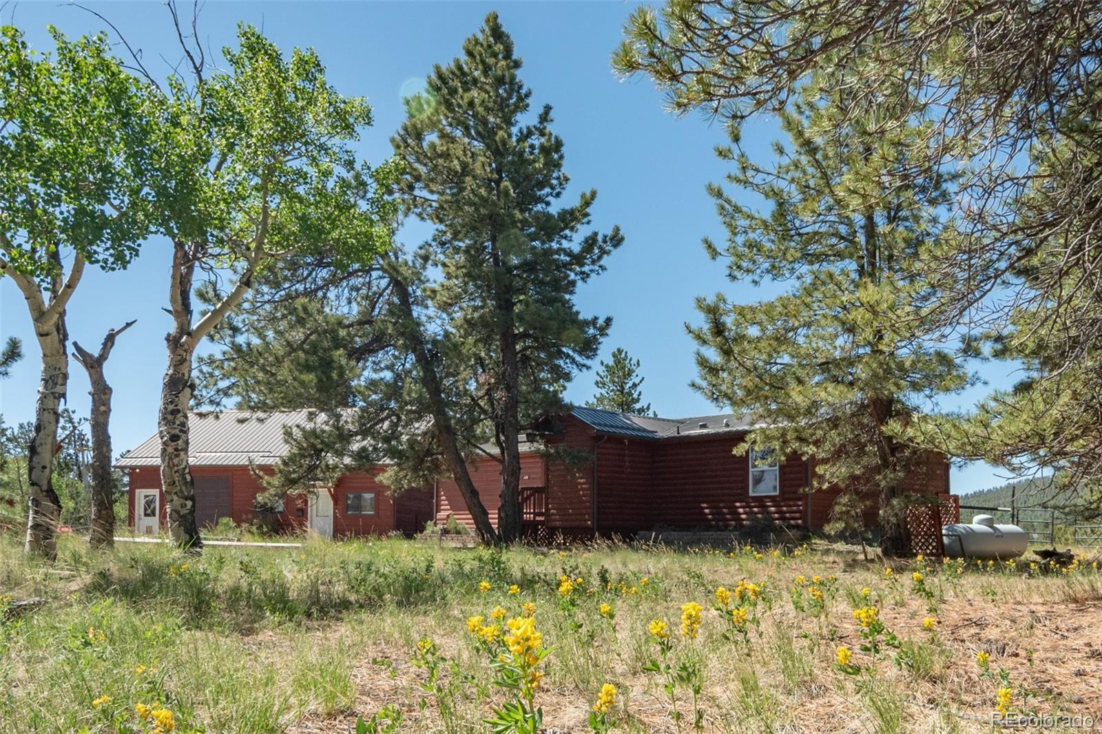 MLS Image #47 for 3126  singletree road,hartsel, Colorado