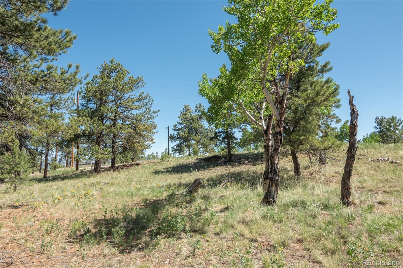 MLS Image #9 for 3126  singletree road,hartsel, Colorado