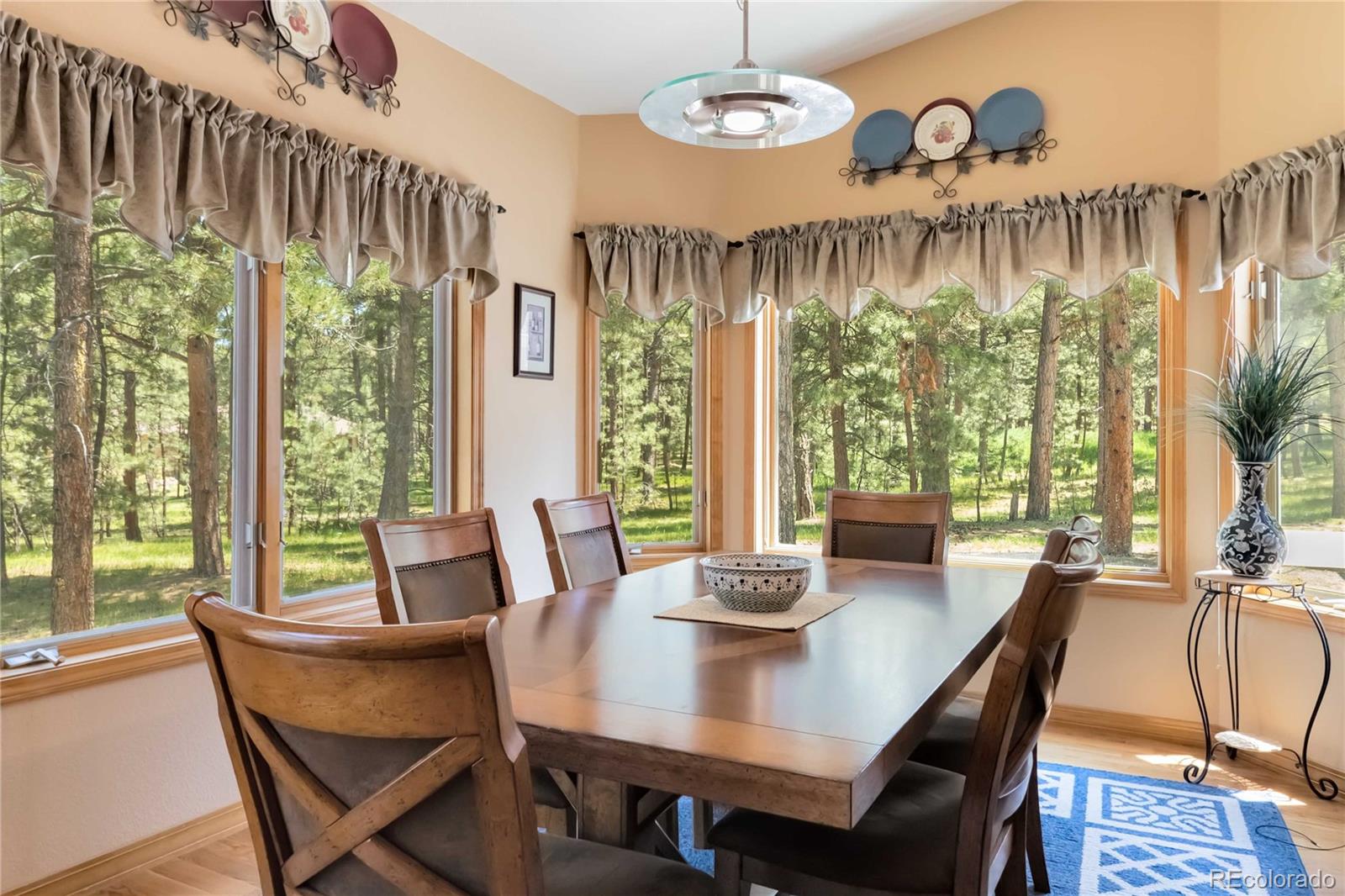 MLS Image #18 for 4170  wavy oak drive,colorado springs, Colorado