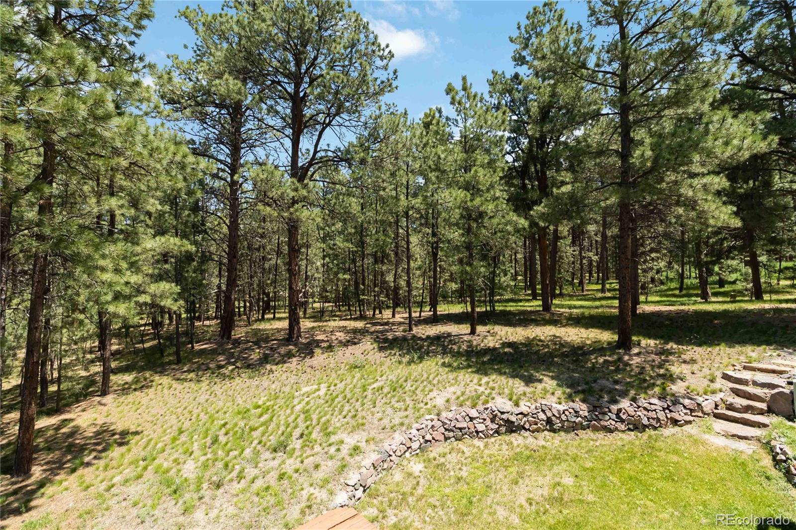 MLS Image #43 for 4170  wavy oak drive,colorado springs, Colorado