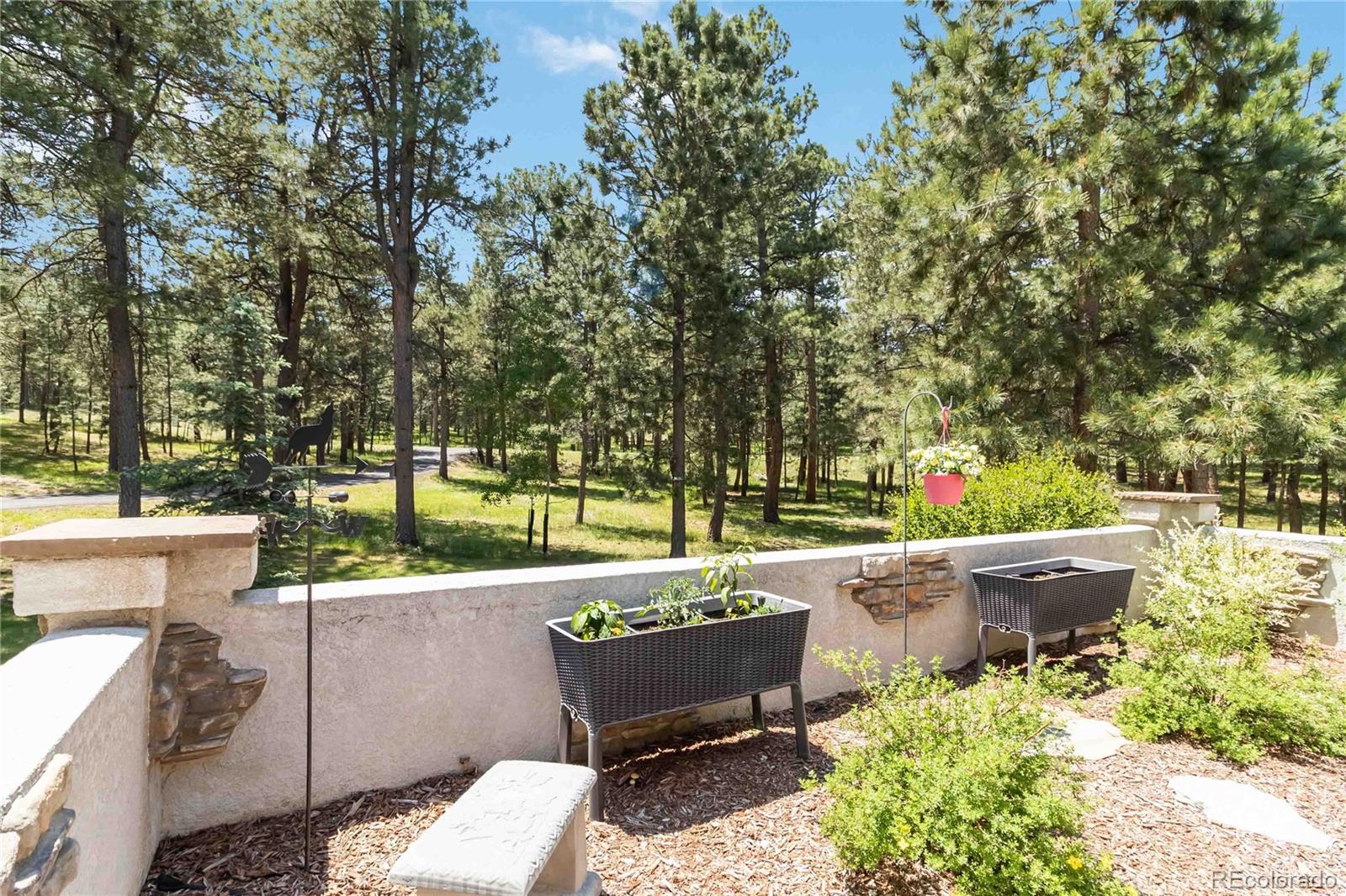 MLS Image #5 for 4170  wavy oak drive,colorado springs, Colorado