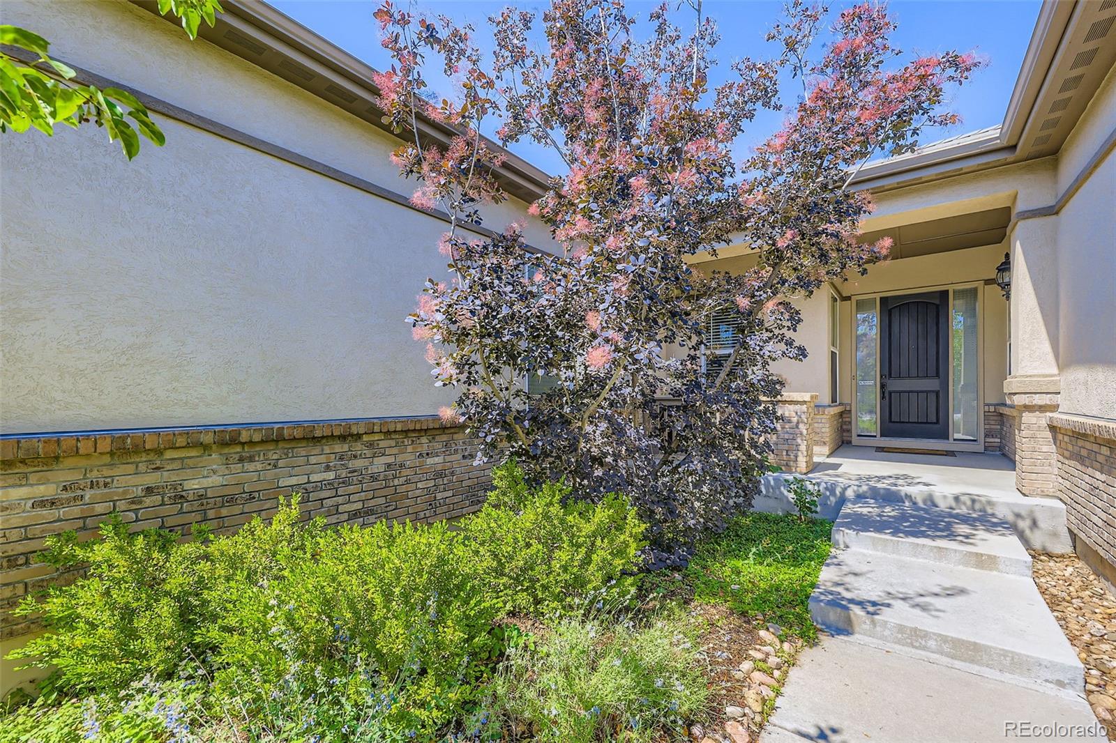 MLS Image #3 for 15975  quandary loop,broomfield, Colorado