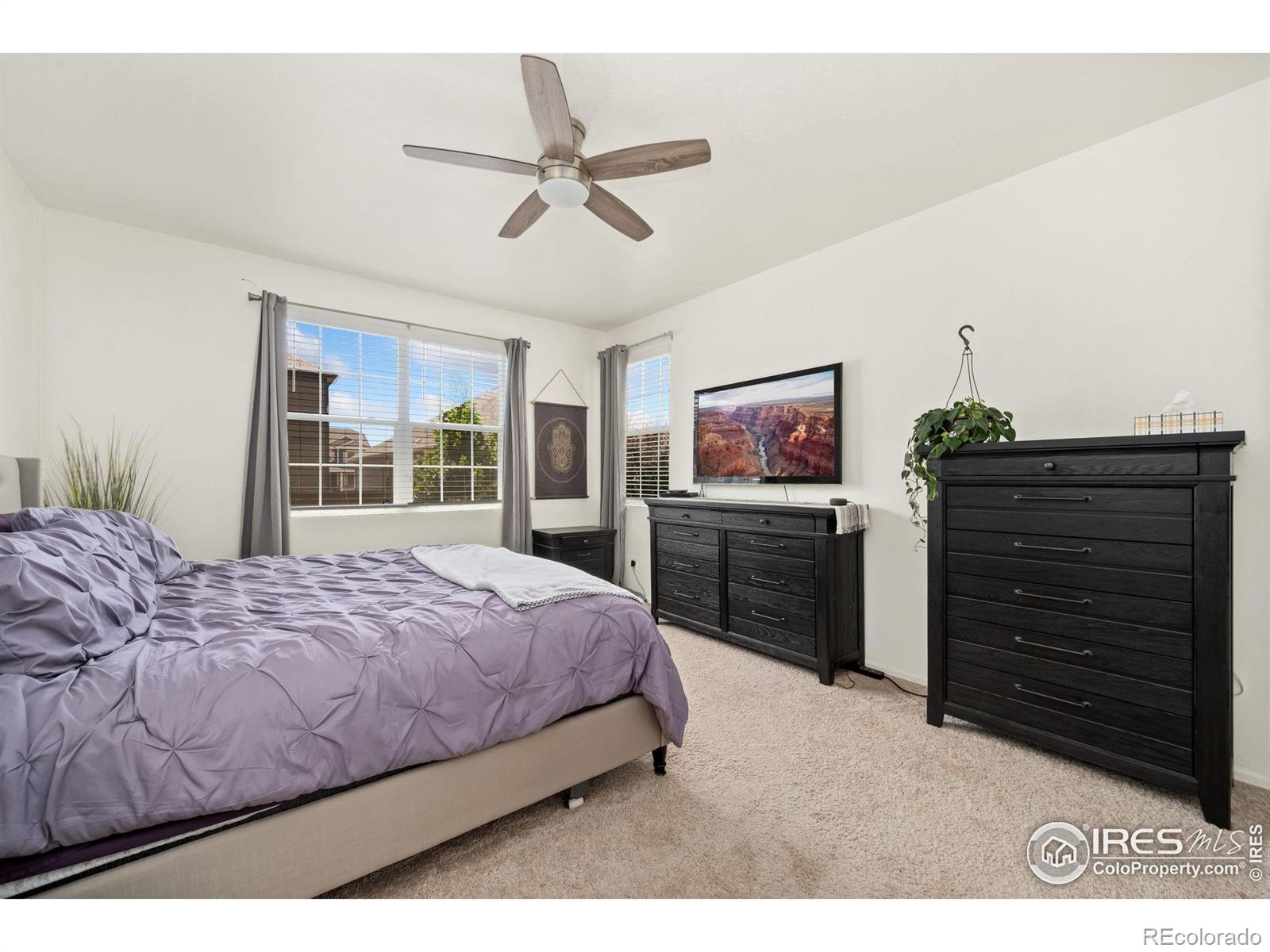MLS Image #7 for 1781  summer bloom drive,windsor, Colorado