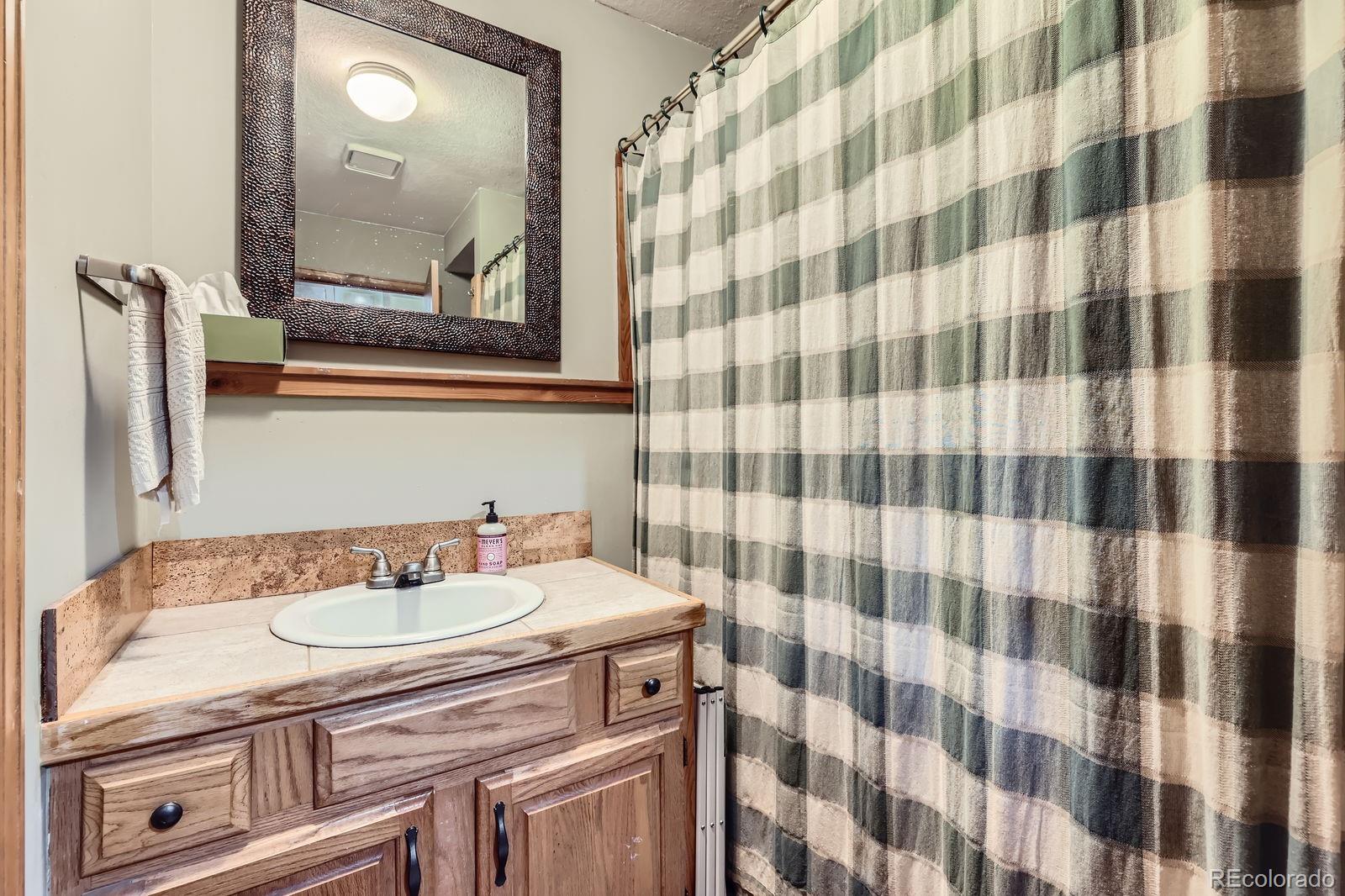 MLS Image #12 for 83  aspen village road,divide, Colorado