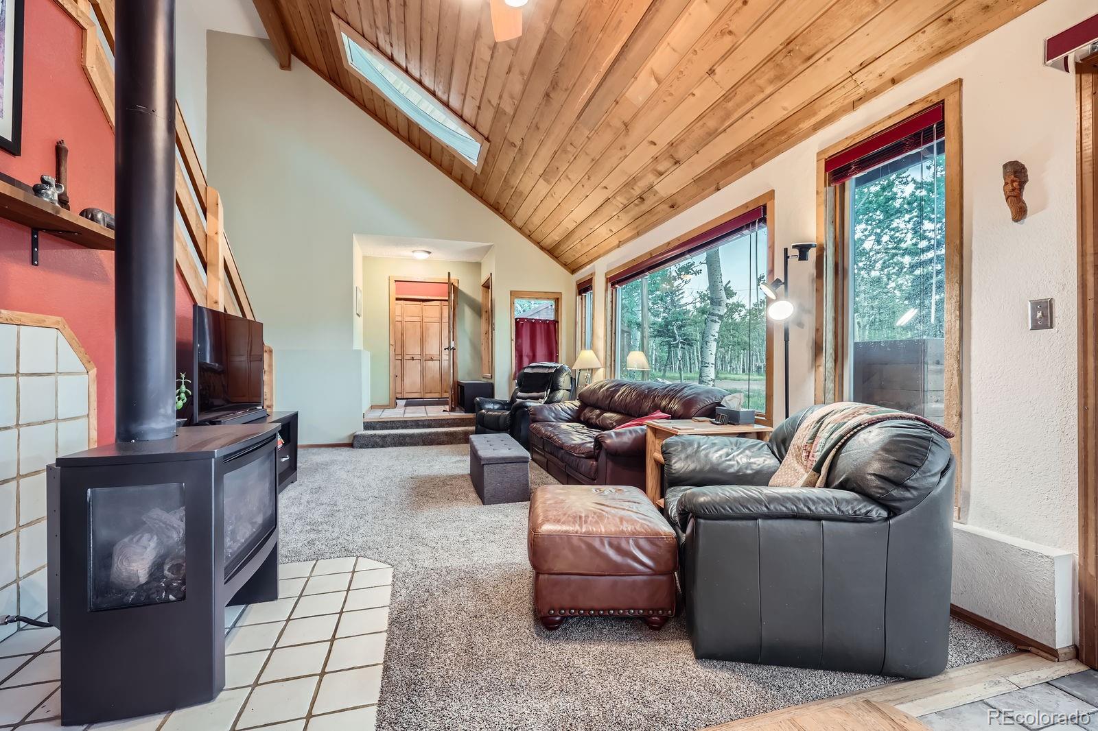 MLS Image #4 for 83  aspen village road,divide, Colorado