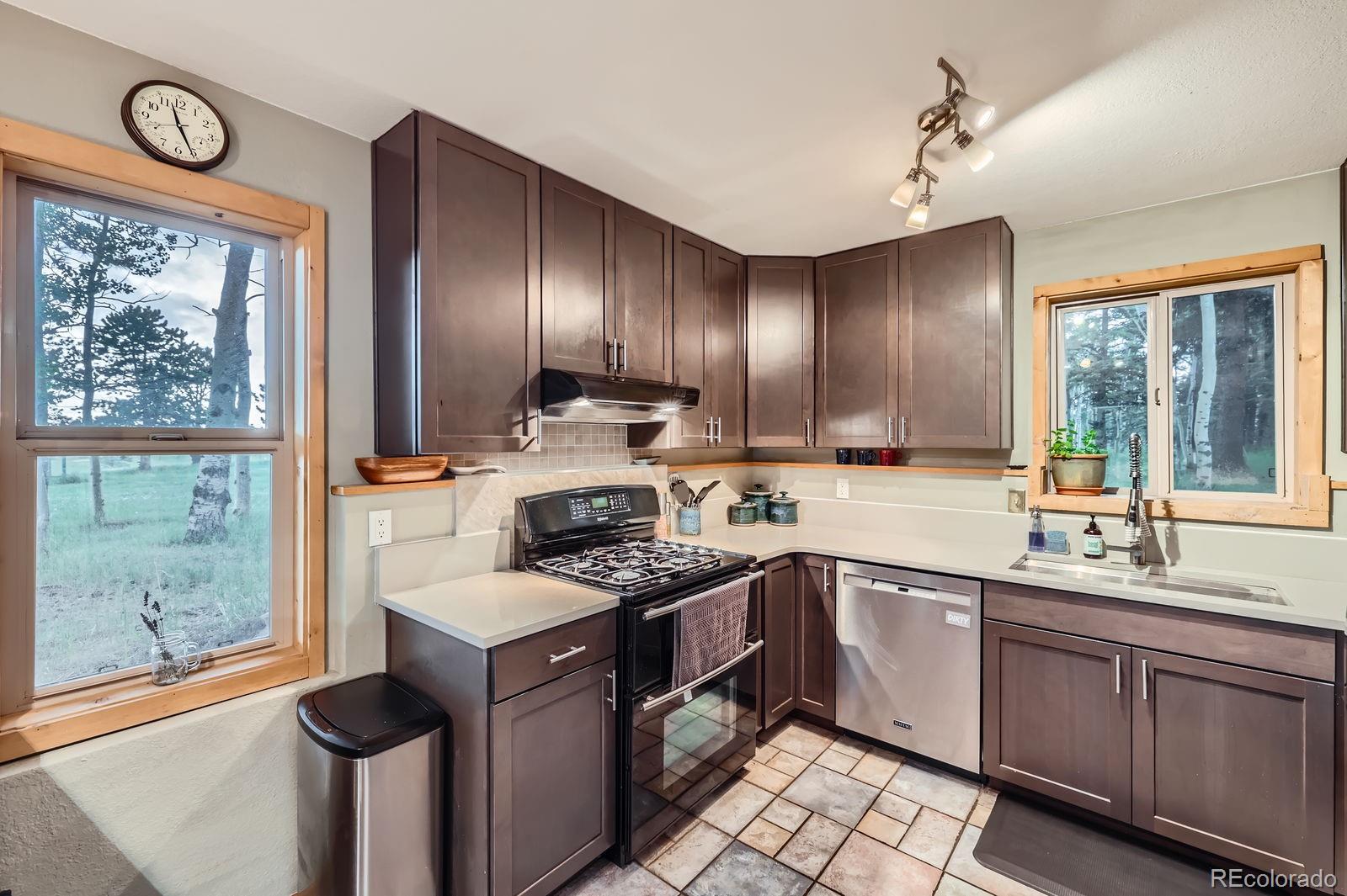 MLS Image #8 for 83  aspen village road,divide, Colorado