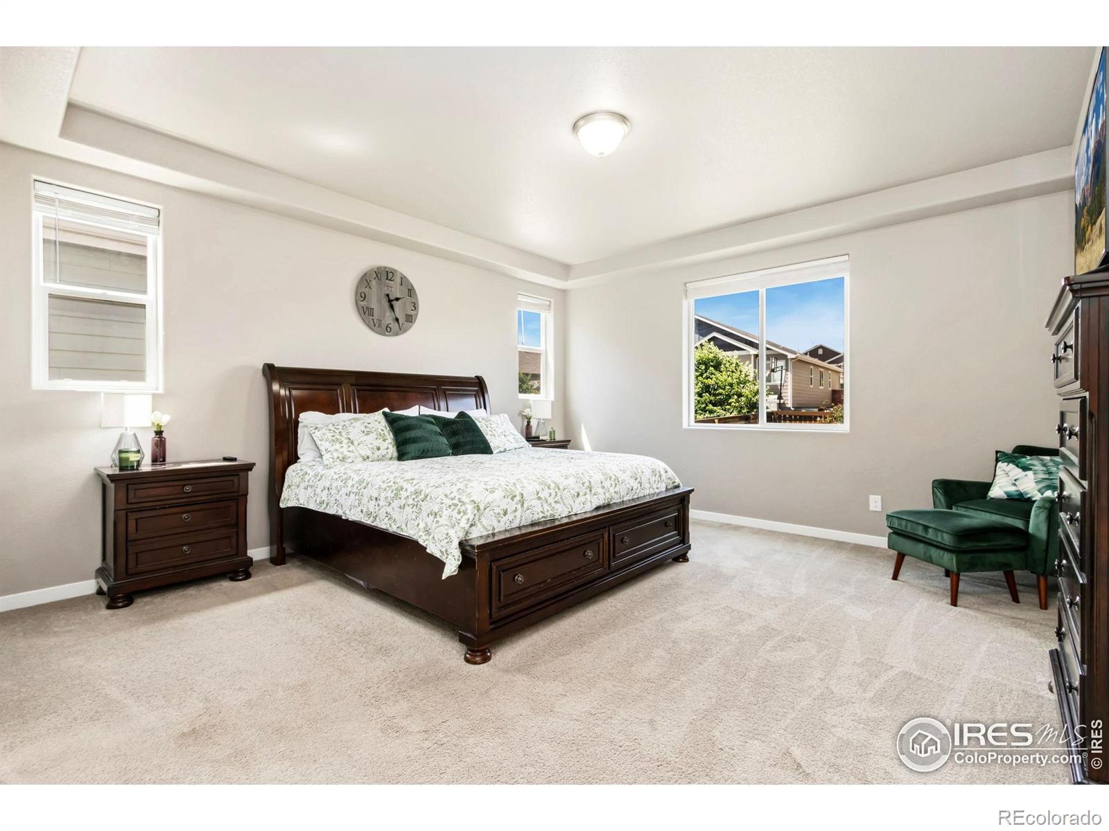 MLS Image #18 for 1382  copeland falls road,severance, Colorado