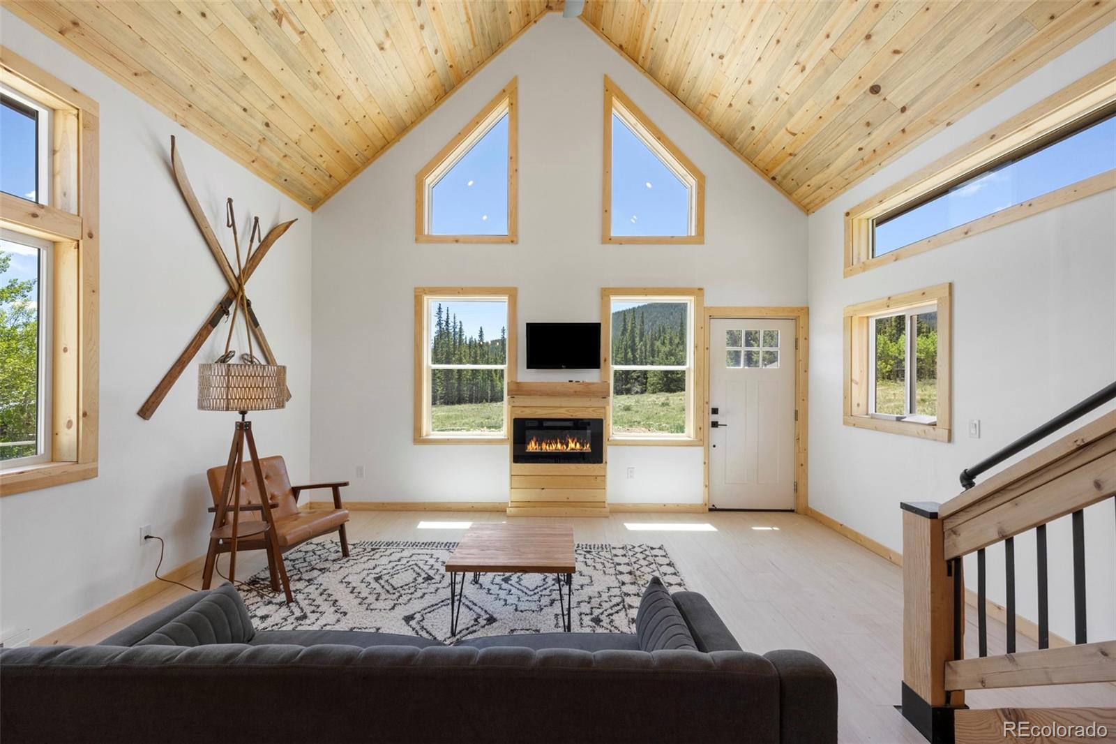 MLS Image #0 for 2586  county road 12 ,alma, Colorado