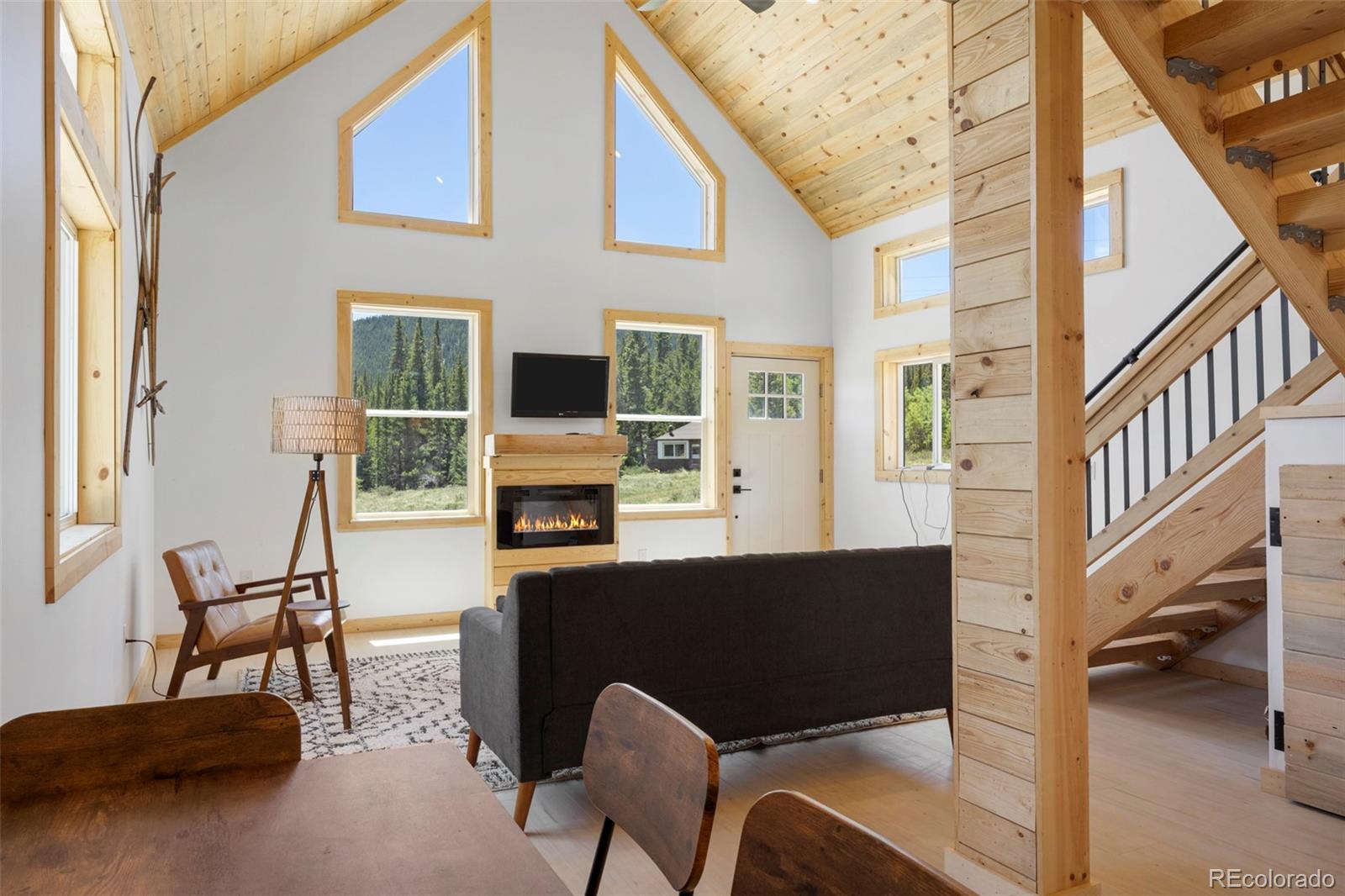 MLS Image #10 for 2586  county road 12 ,alma, Colorado