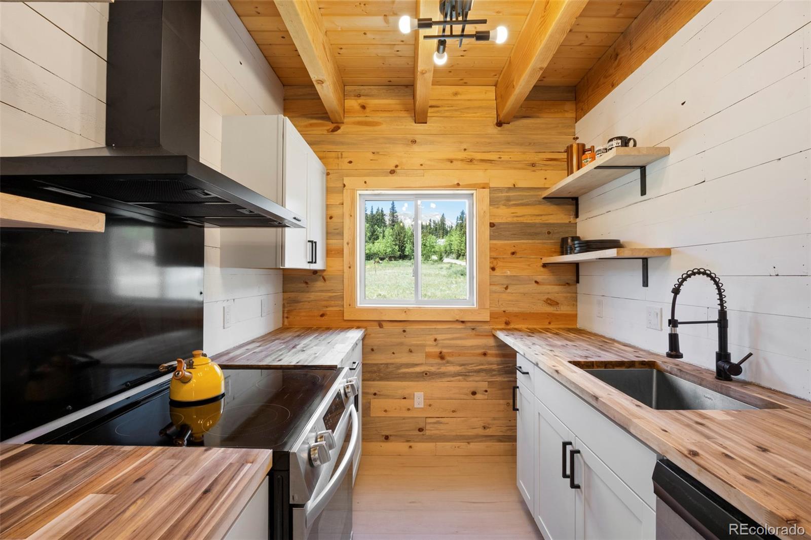 MLS Image #13 for 2586  county road 12 ,alma, Colorado