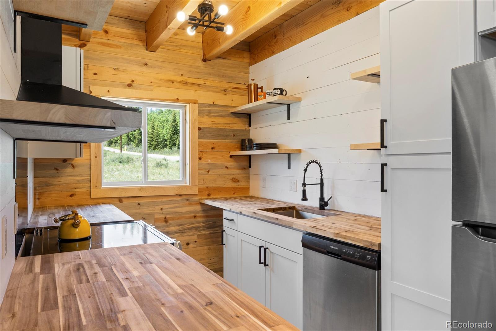 MLS Image #14 for 2586  county road 12 ,alma, Colorado