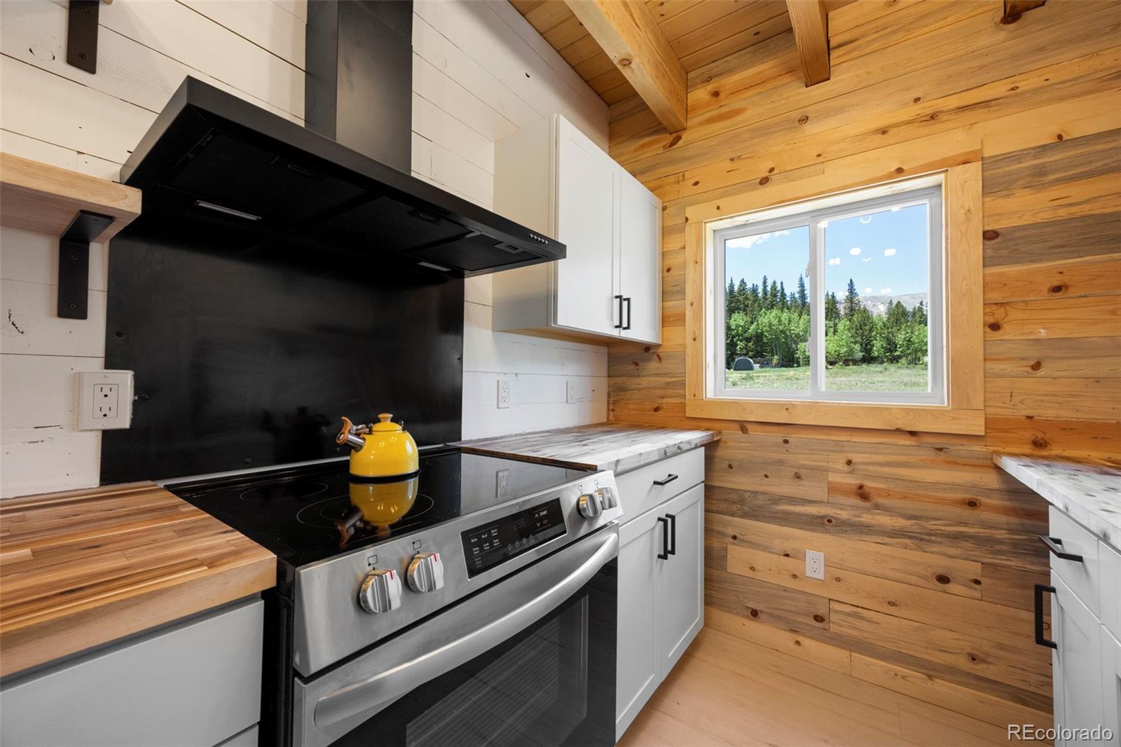 MLS Image #15 for 2586  county road 12 ,alma, Colorado