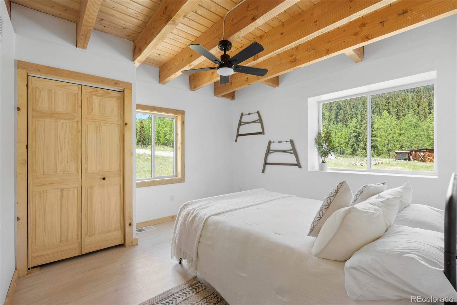 MLS Image #16 for 2586  county road 12 ,alma, Colorado