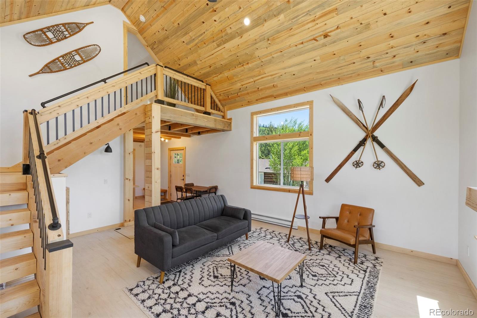 MLS Image #18 for 2586  county road 12 ,alma, Colorado