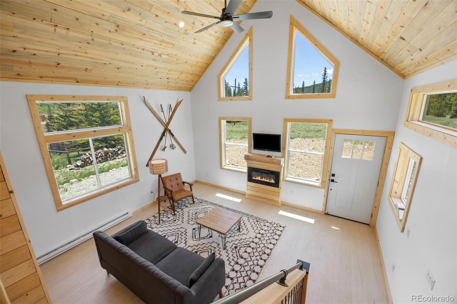 MLS Image #19 for 2586  county road 12 ,alma, Colorado