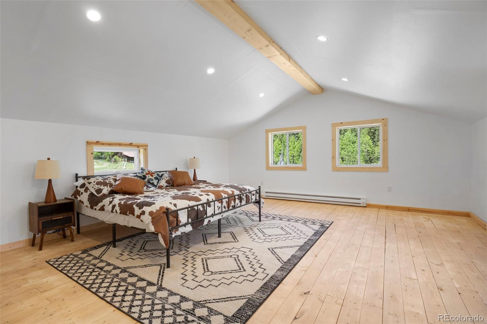 MLS Image #20 for 2586  county road 12 ,alma, Colorado