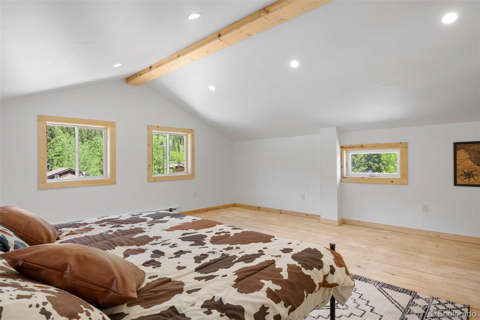 MLS Image #21 for 2586  county road 12 ,alma, Colorado