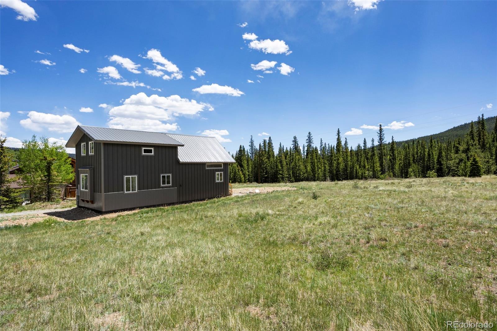 MLS Image #4 for 2586  county road 12 ,alma, Colorado