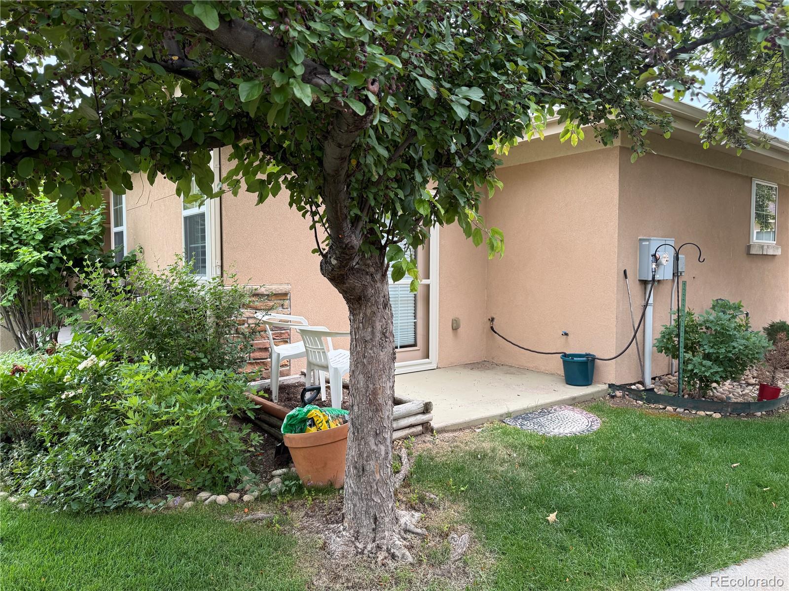 MLS Image #8 for 1238  finch street,loveland, Colorado