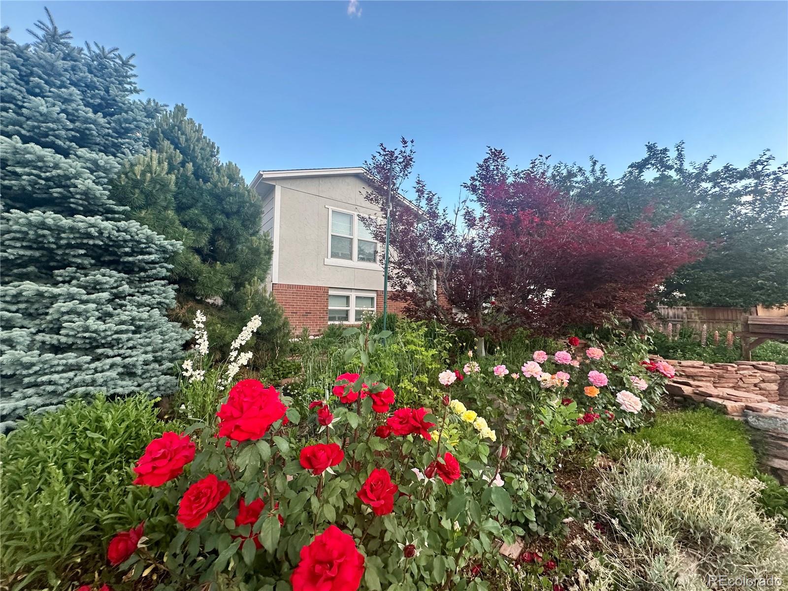 MLS Image #42 for 6248 w 75th ,arvada, Colorado
