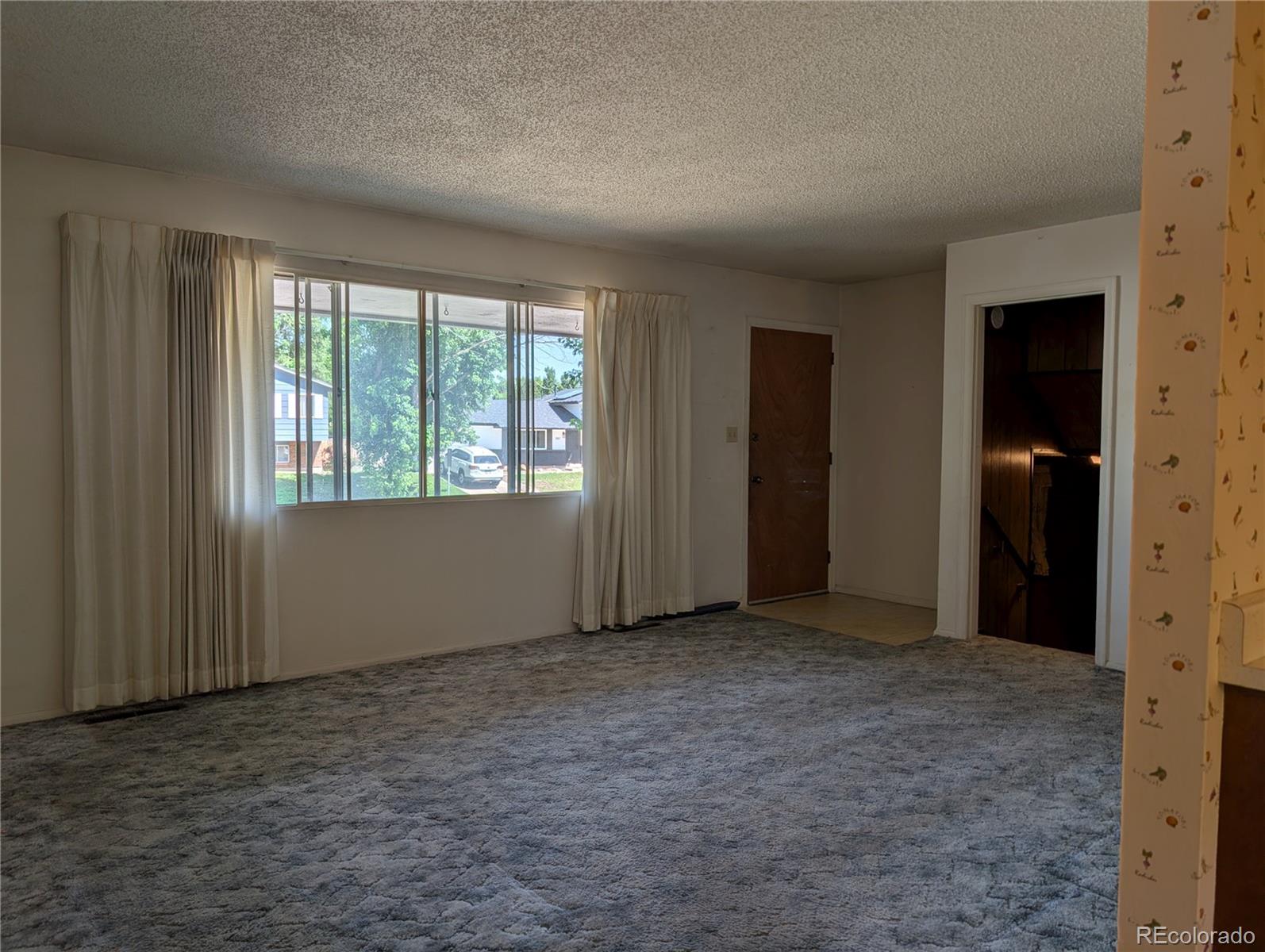 MLS Image #6 for 1202  wooten road,colorado springs, Colorado
