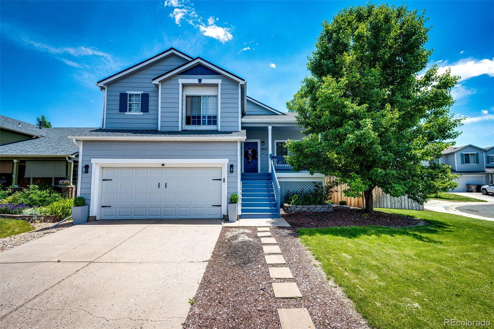 MLS Image #2 for 8930  apache plume drive,parker, Colorado