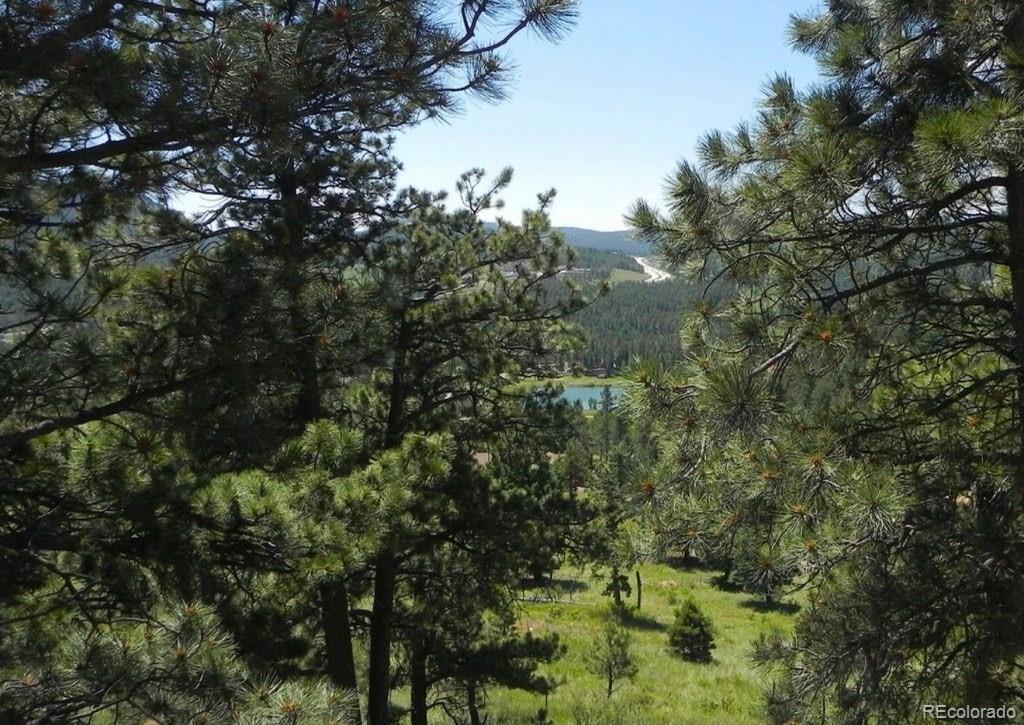 MLS Image #36 for 9189  fallen rock road,conifer, Colorado
