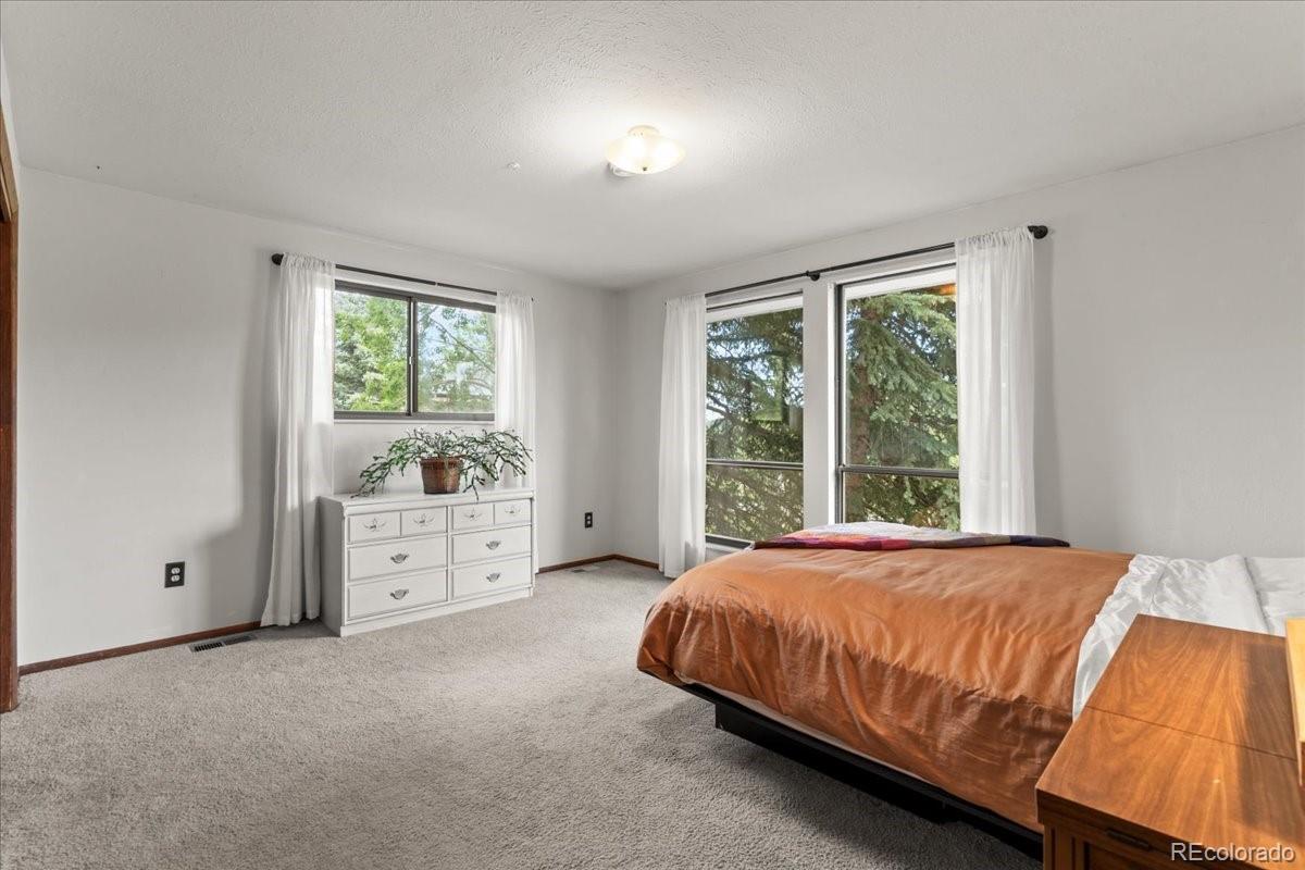 MLS Image #22 for 8427 s custer lane,evergreen, Colorado