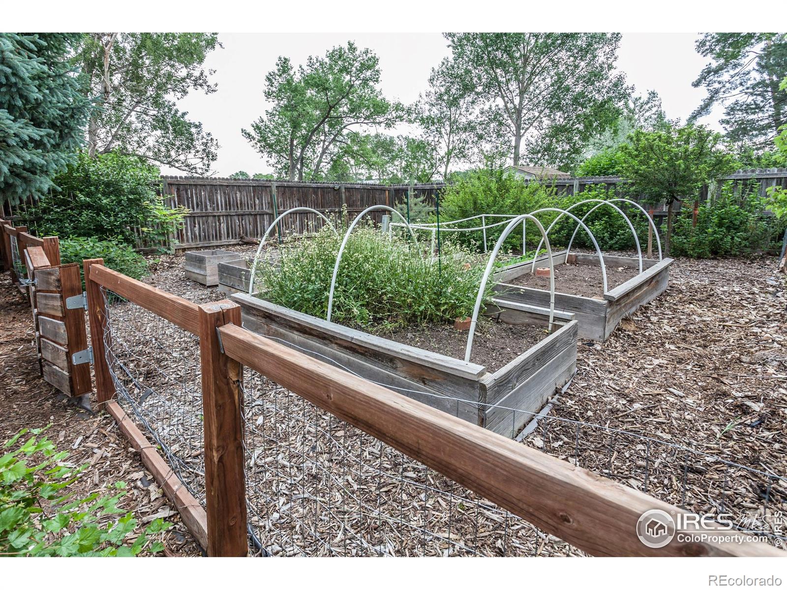 MLS Image #29 for 3142  eagle drive,fort collins, Colorado