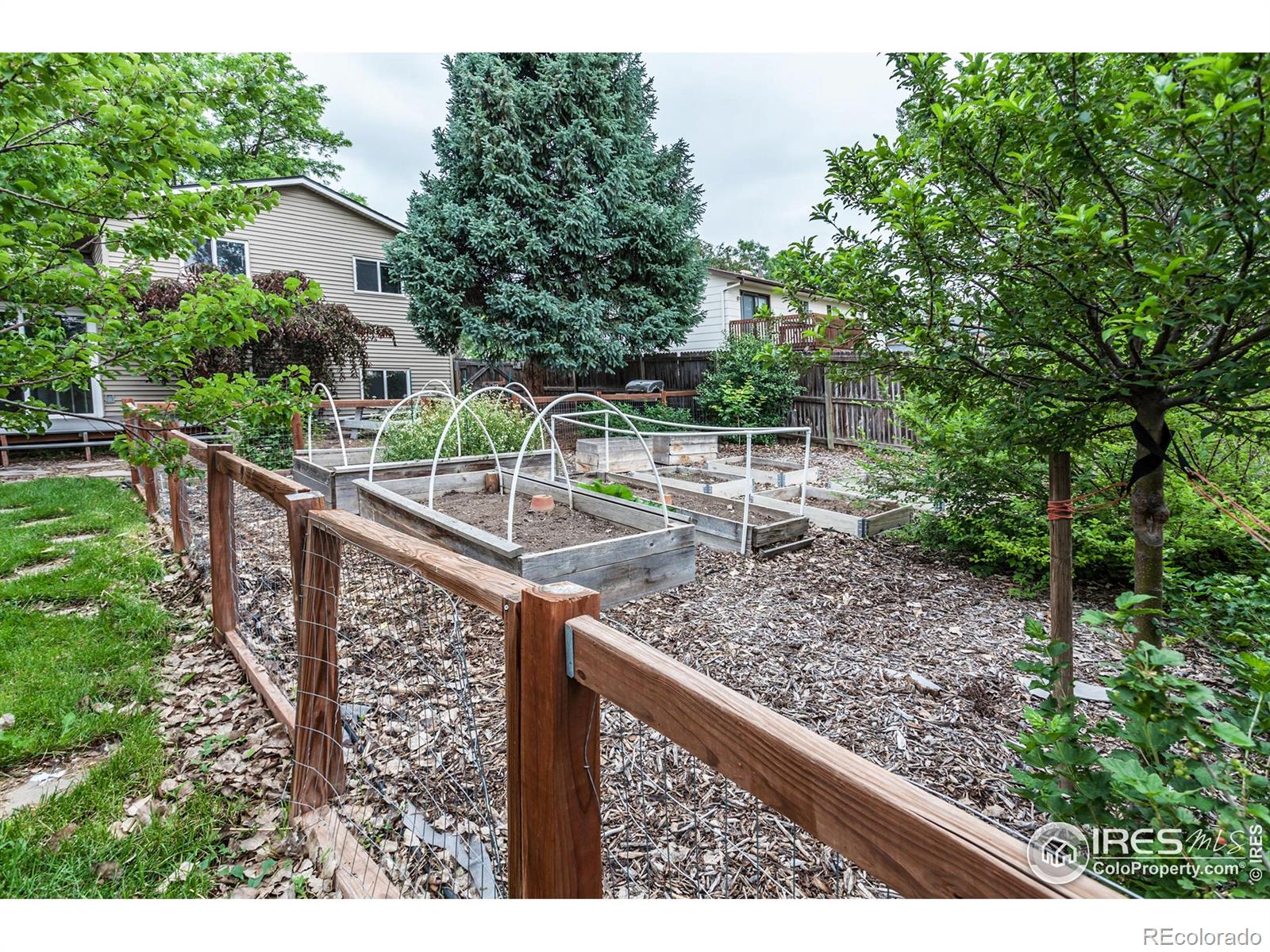MLS Image #34 for 3142  eagle drive,fort collins, Colorado