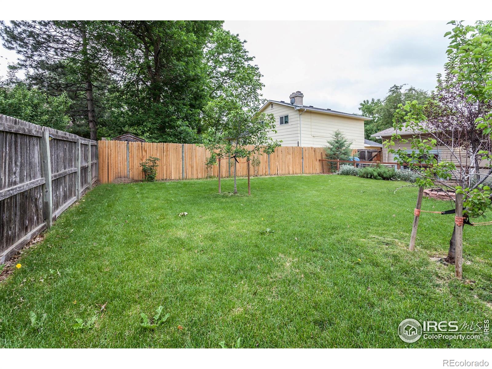 MLS Image #35 for 3142  eagle drive,fort collins, Colorado