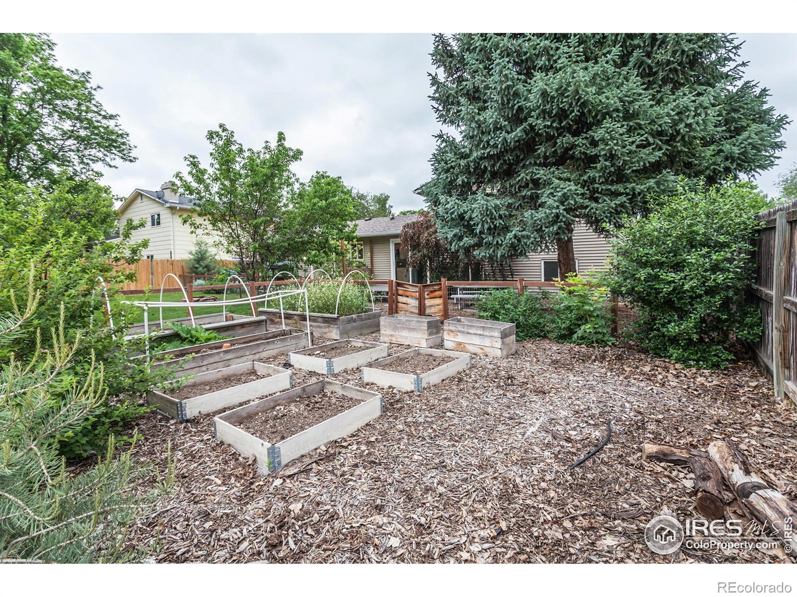 MLS Image #39 for 3142  eagle drive,fort collins, Colorado