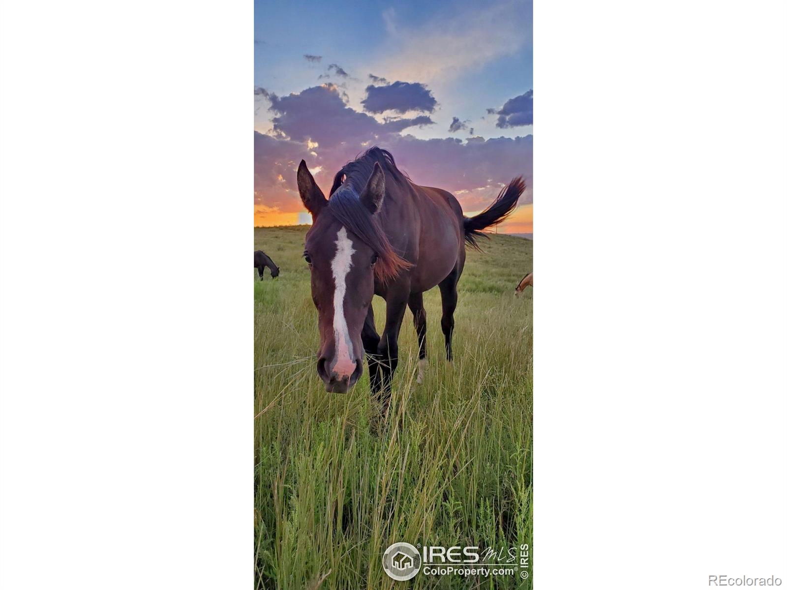 MLS Image #36 for 14975  us highway 385 ,julesburg, Colorado