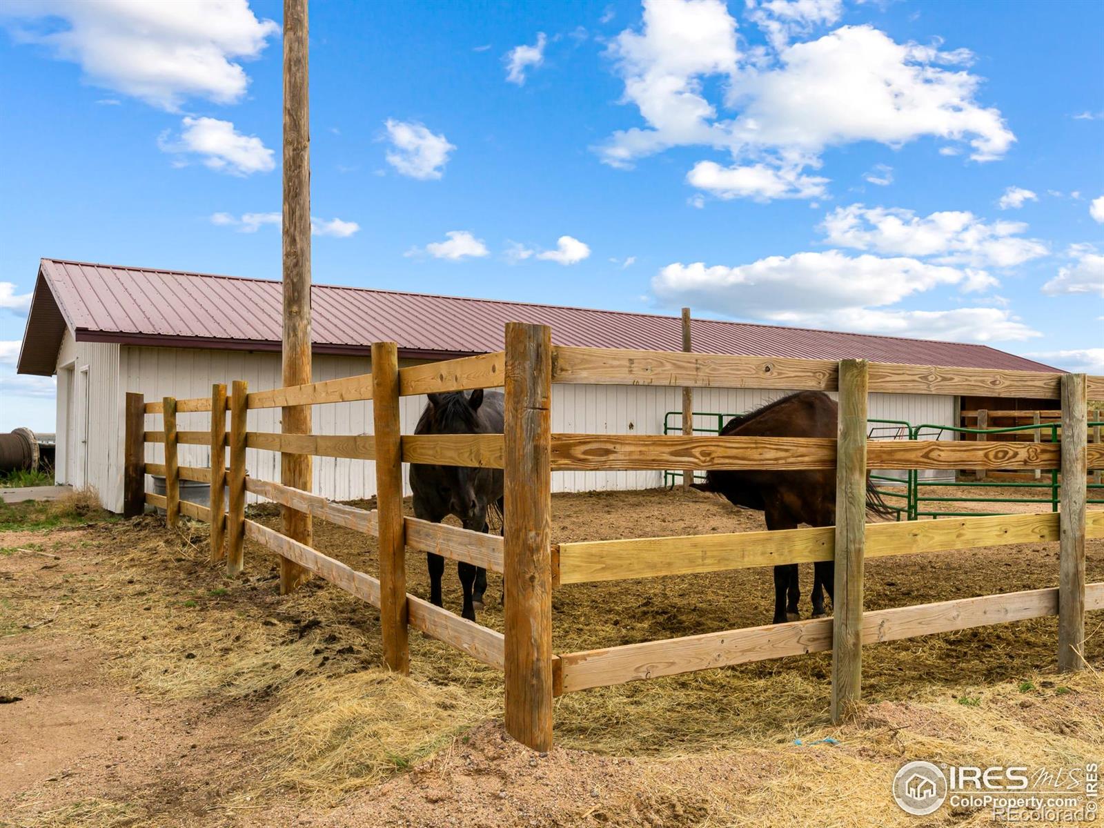 MLS Image #37 for 14975  us highway 385 ,julesburg, Colorado