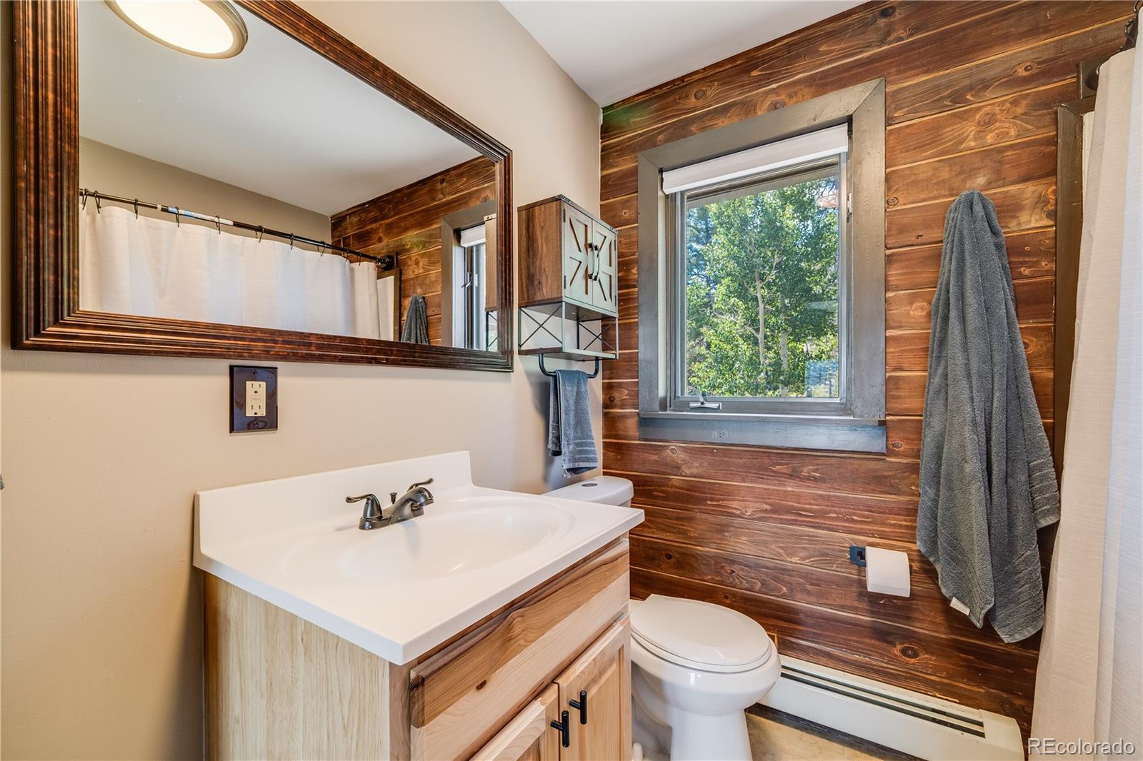 MLS Image #16 for 235  aspen lane,hartsel, Colorado